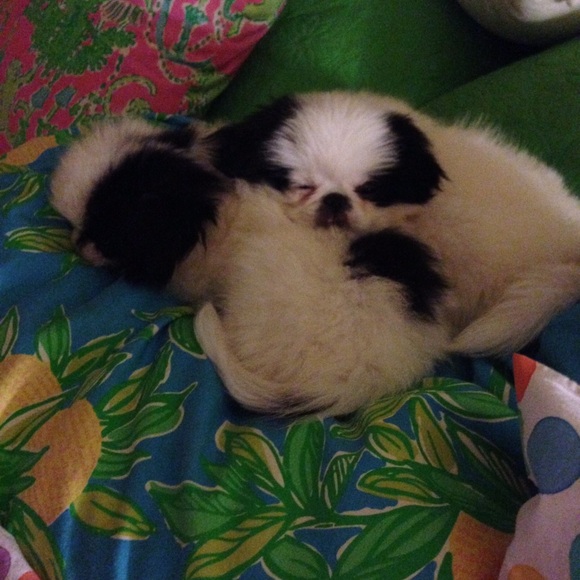 Meet your Posher, Sally - Picture 8 of 8